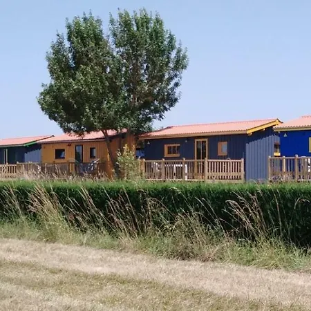 Du De * Saujon