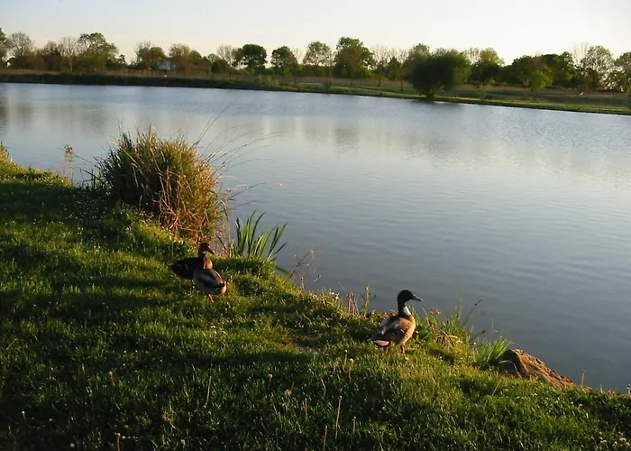 Camping Du De Saujon